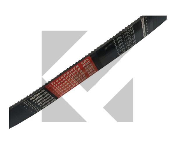 CINGHIA 2XPB1950