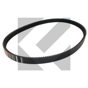 CINGHIA  2XPB1782