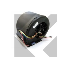 EV.C.007-B42/T-32D 24V VE