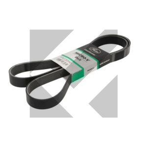 CINGHIA POLY-V 8PK1753HD