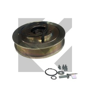 ELETTROFRIZIONE TM55/65 24V 8PK D.196