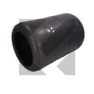 MEMBRANA