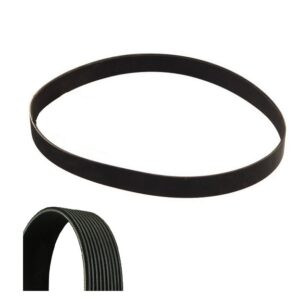 CINGHIA POLY-V 10PK1815