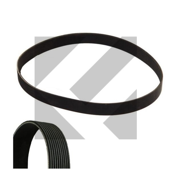CINGHIA POLY-V 10PK1815