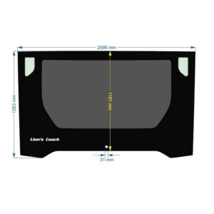 LUNOTTO MAN LION'S COACH